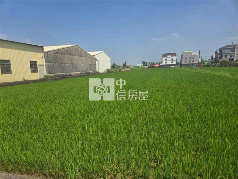 六甲鄉都計內農地房屋室內格局與周邊環境