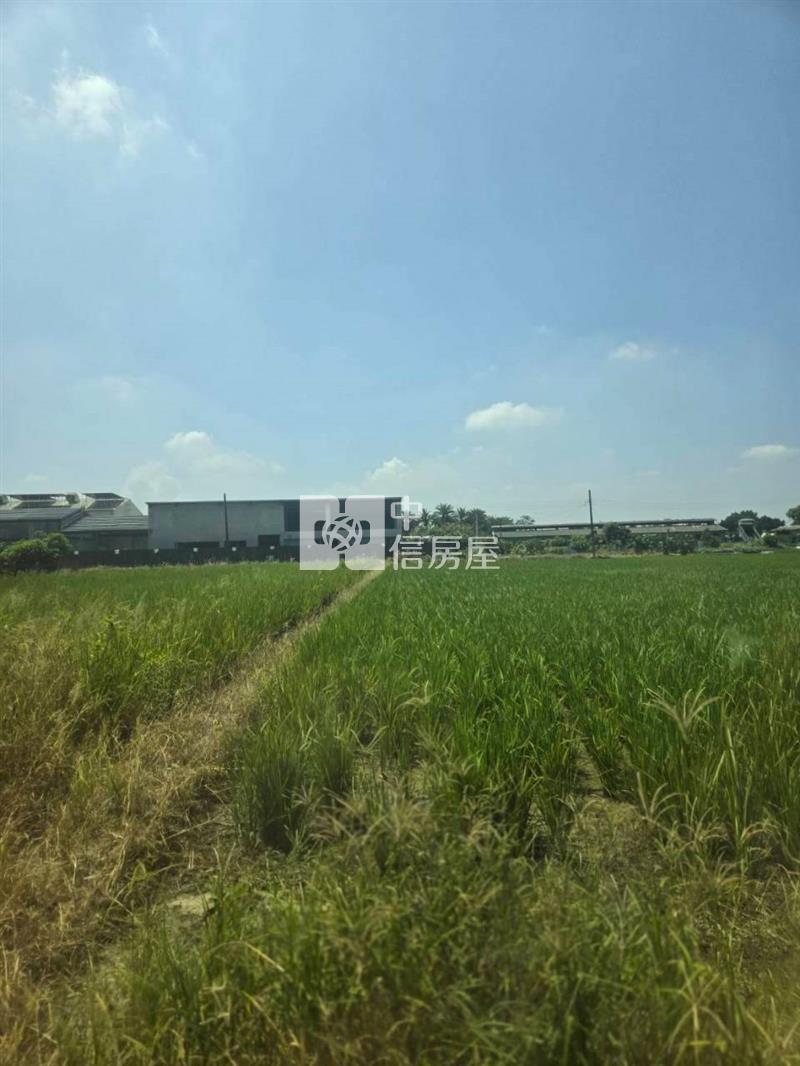 六甲鄉都計內農地房屋室內格局與周邊環境