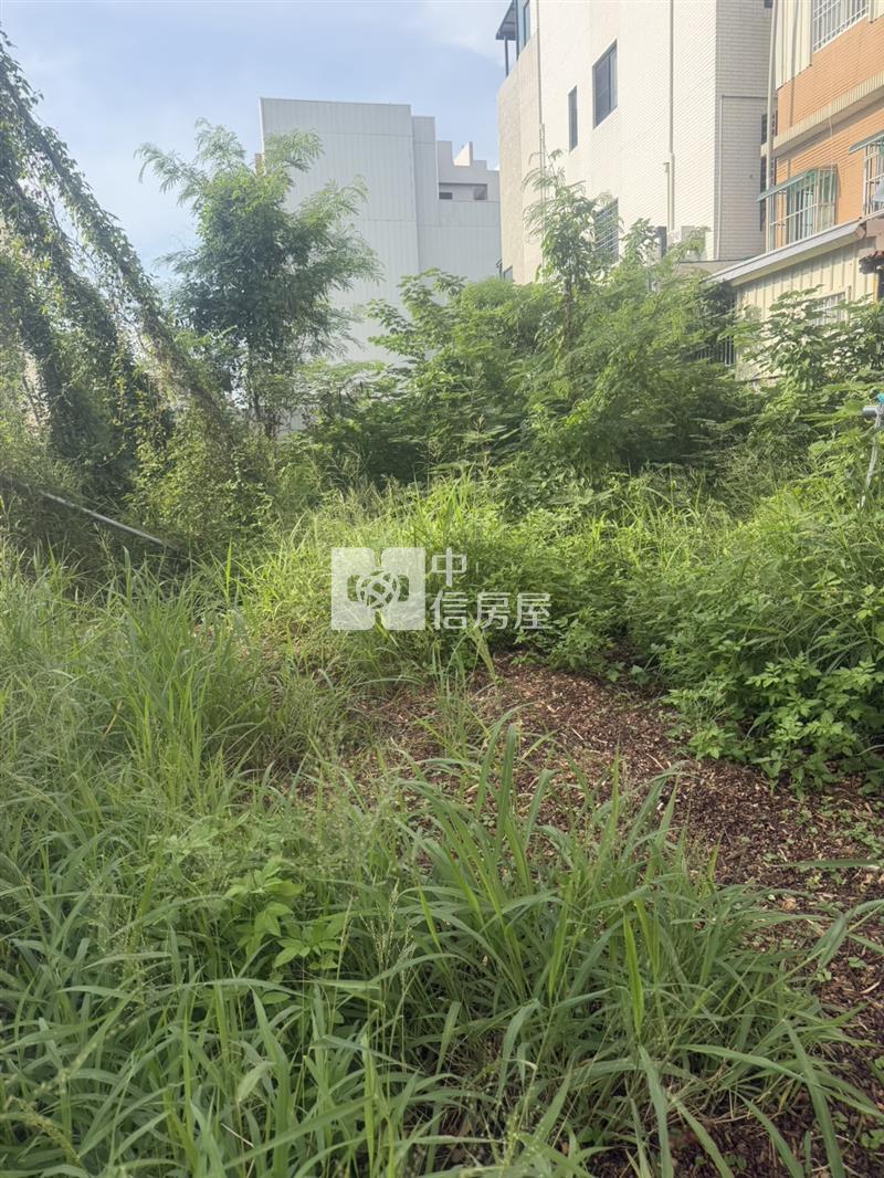 八甲豪宅建地房屋室內格局與周邊環境