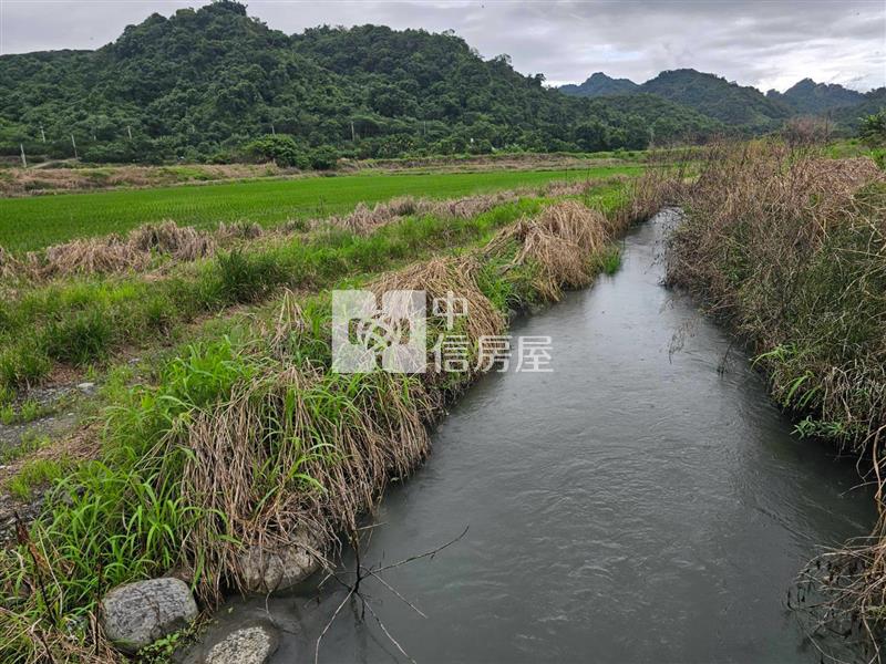 鶴崗山水田園,1397坪景觀大農地(C33)房屋室內格局與周邊環境