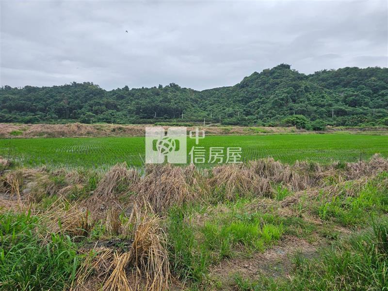 鶴崗山水田園,1397坪景觀大農地(C33)房屋室內格局與周邊環境