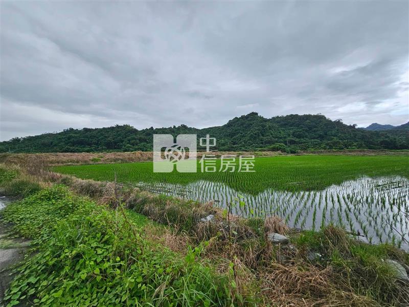 鶴崗山水田園,1397坪景觀大農地(C33)房屋室內格局與周邊環境