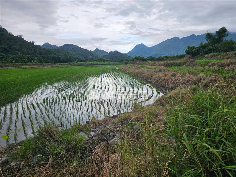 鶴崗山水田園,1397坪景觀大農地(C33)房屋室內格局與周邊環境