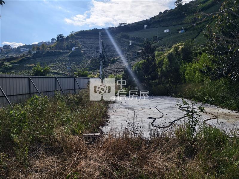 清淨稀有農地房屋室內格局與周邊環境