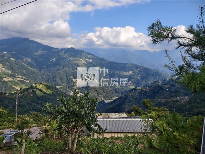 清淨稀有農地房屋室內格局與周邊環境