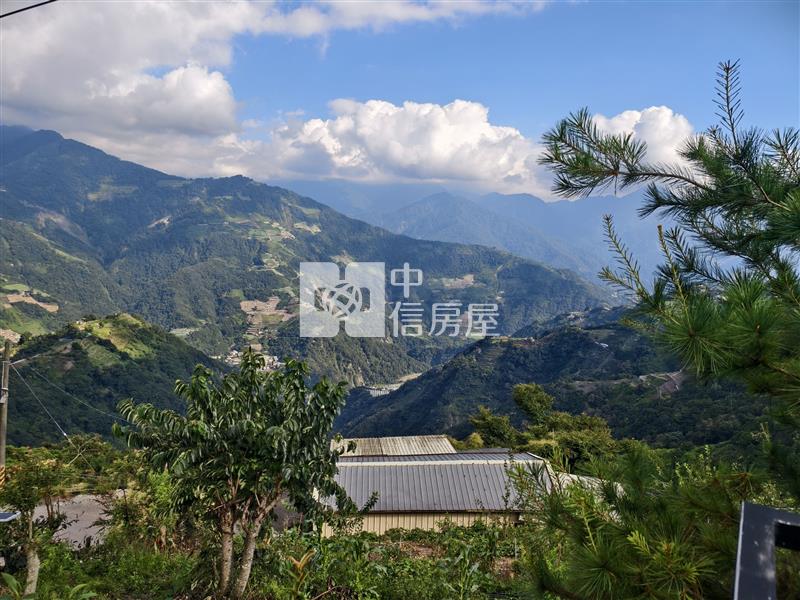 清淨稀有農地房屋室內格局與周邊環境