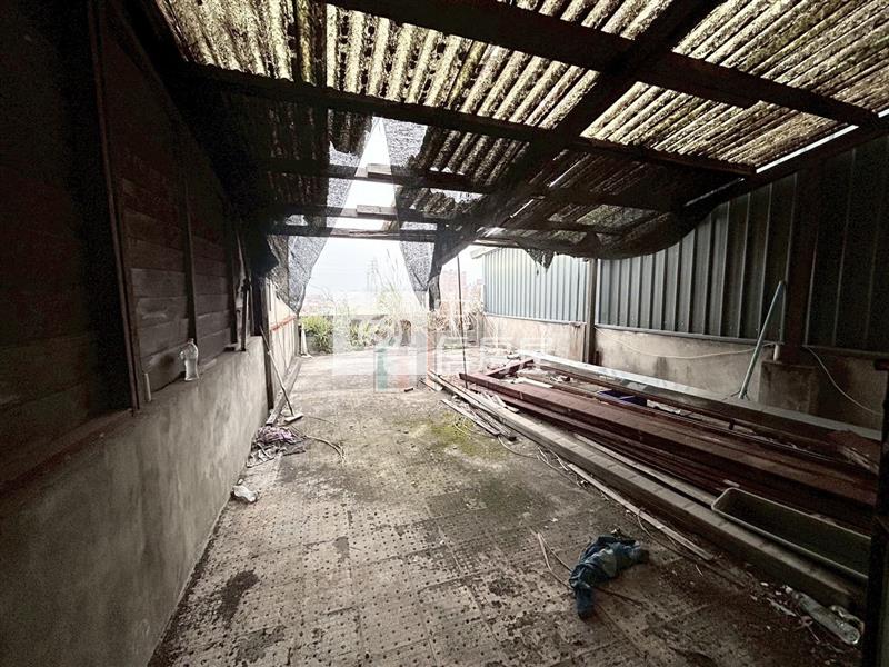 【豐禾】中壢體育園區第一排黃金招財透店房屋室內格局與周邊環境
