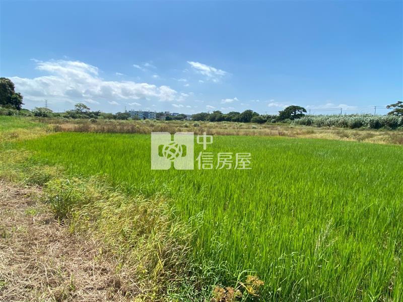【新世紀】近觀音蓮園世紀鋼鐵旁農地房屋室內格局與周邊環境