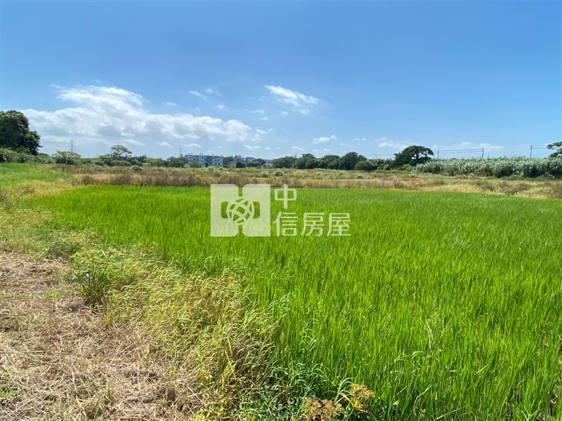【新世紀】近觀音蓮園世紀鋼鐵旁農地房屋室內格局與周邊環境