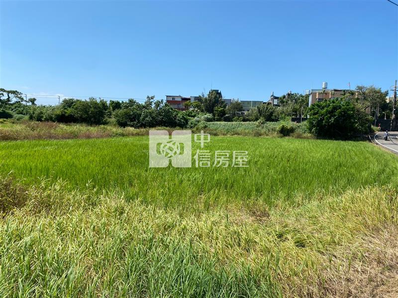 【新世紀】近觀音蓮園世紀鋼鐵旁農地房屋室內格局與周邊環境