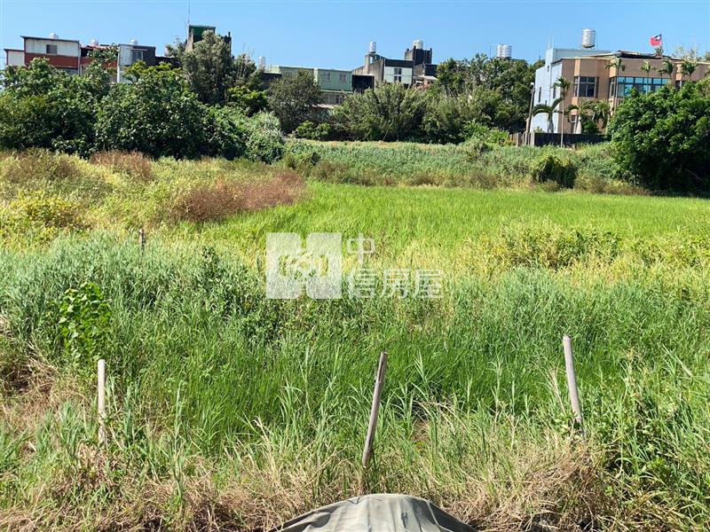 【新世紀】近觀音蓮園世紀鋼鐵旁農地房屋室內格局與周邊環境