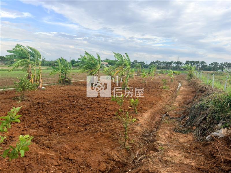 新屋東明國小農地房屋室內格局與周邊環境