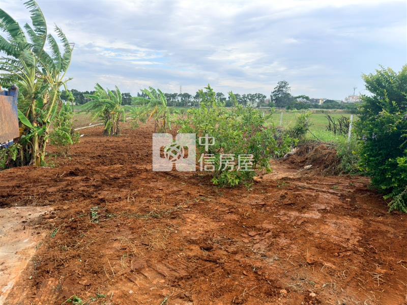 新屋東明國小農地房屋室內格局與周邊環境