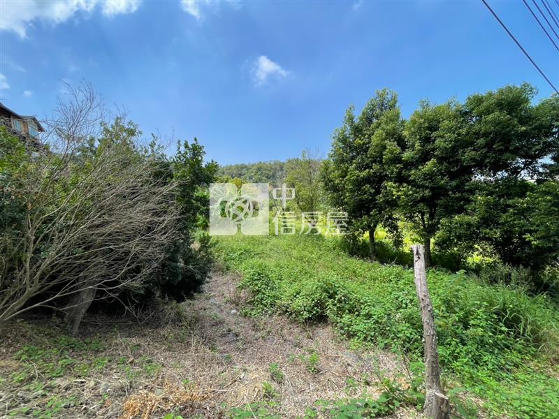 苗栗頭份投資置產農地房屋室內格局與周邊環境