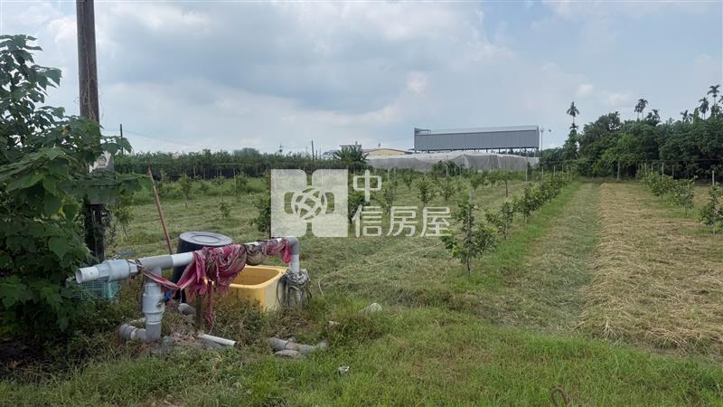 九如臨大路農地房屋室內格局與周邊環境