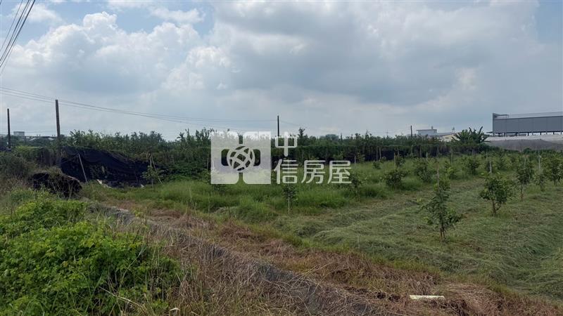 九如臨大路農地房屋室內格局與周邊環境