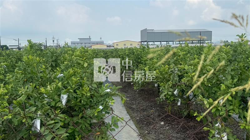 九如臨大路農地房屋室內格局與周邊環境