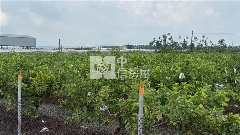 九如漂亮特定農地房屋室內格局與周邊環境