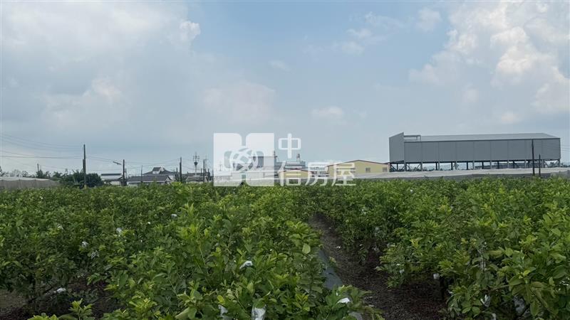 九如漂亮特定農地房屋室內格局與周邊環境