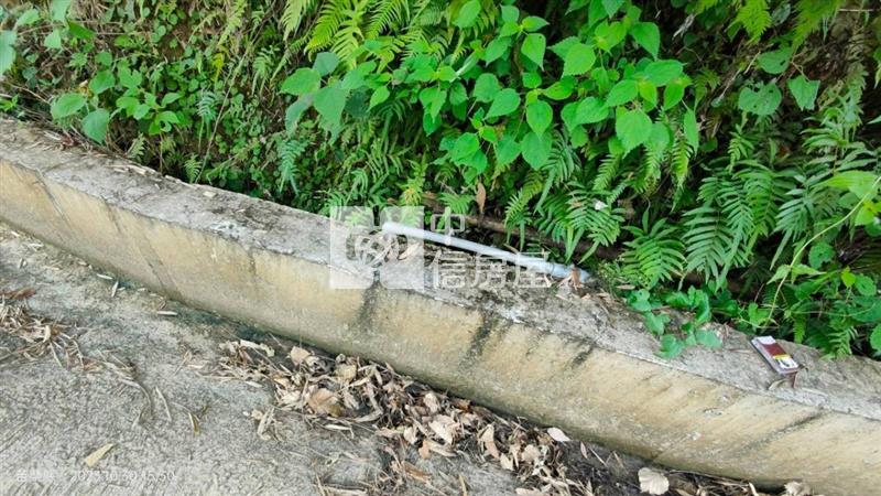銅鑼莫內花園933坪景觀休閒美田房屋室內格局與周邊環境