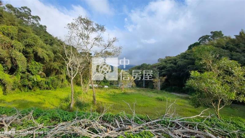 銅鑼莫內花園933坪景觀休閒美田房屋室內格局與周邊環境