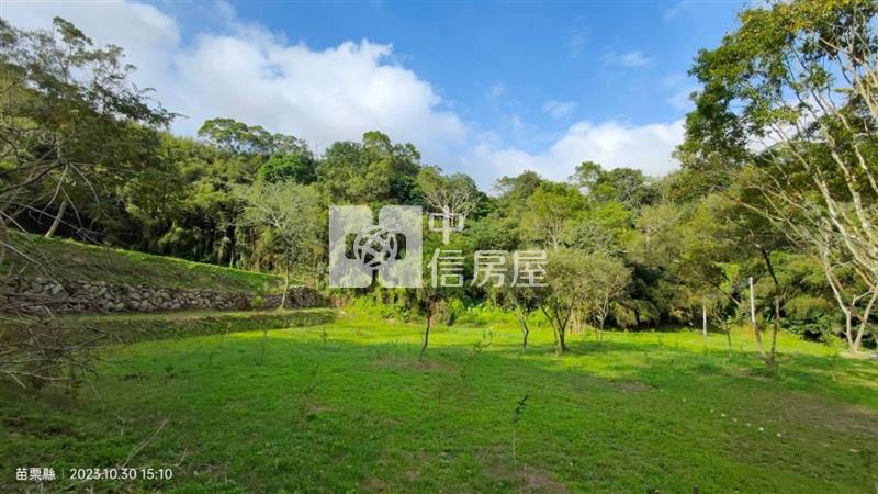 銅鑼莫內花園933坪景觀休閒美田房屋室內格局與周邊環境