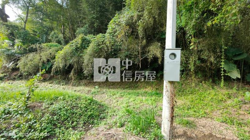 銅鑼莫內花園933坪景觀休閒美田房屋室內格局與周邊環境