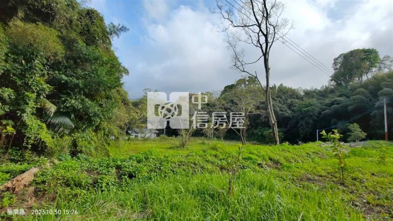 銅鑼莫內花園933坪景觀休閒美田房屋室內格局與周邊環境