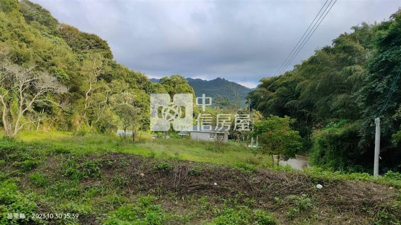 銅鑼莫內花園933坪景觀休閒美田房屋室內格局與周邊環境