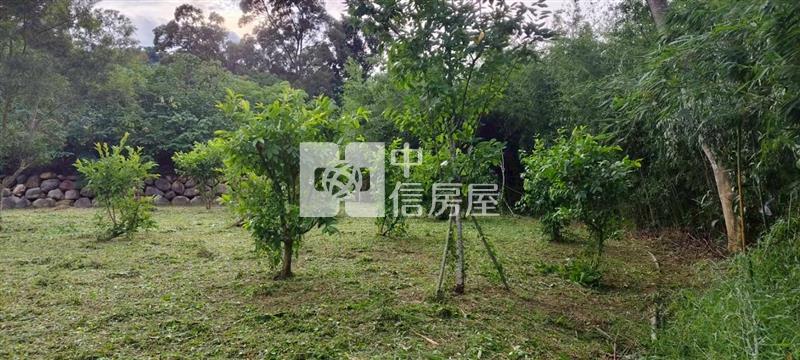 銅科莫內花園秘境莊園農地房屋室內格局與周邊環境