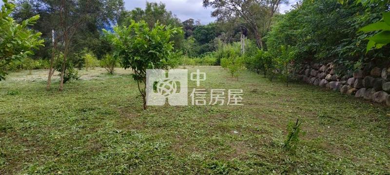 銅科莫內花園秘境莊園農地房屋室內格局與周邊環境
