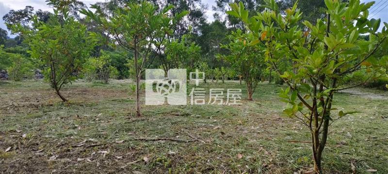 銅科莫內花園秘境莊園農地房屋室內格局與周邊環境