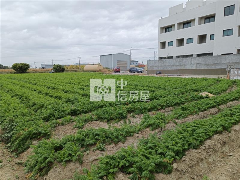 新吉西埔新厝持分方正農地