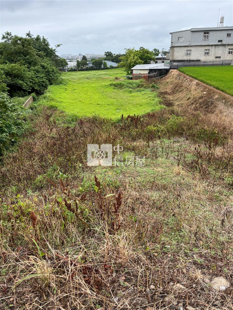 楊梅10/4米路便宜農地房屋室內格局與周邊環境