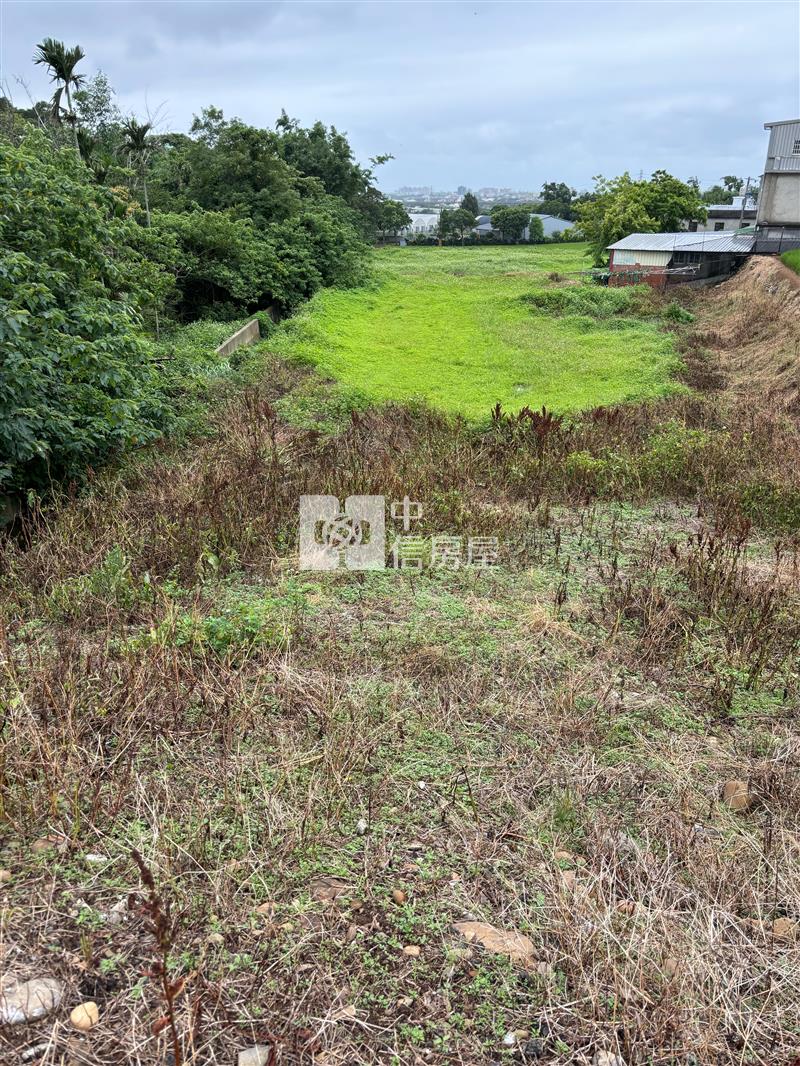 楊梅10/4米路便宜農地房屋室內格局與周邊環境