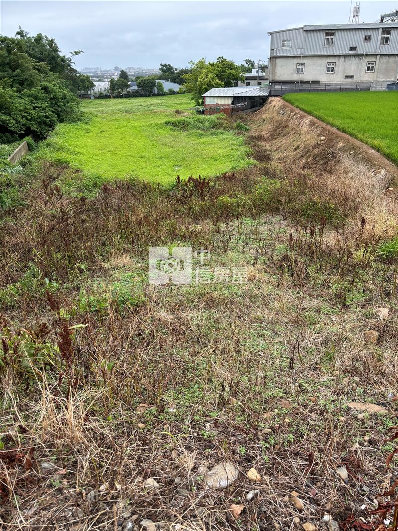 楊梅10/4米路便宜農地房屋室內格局與周邊環境