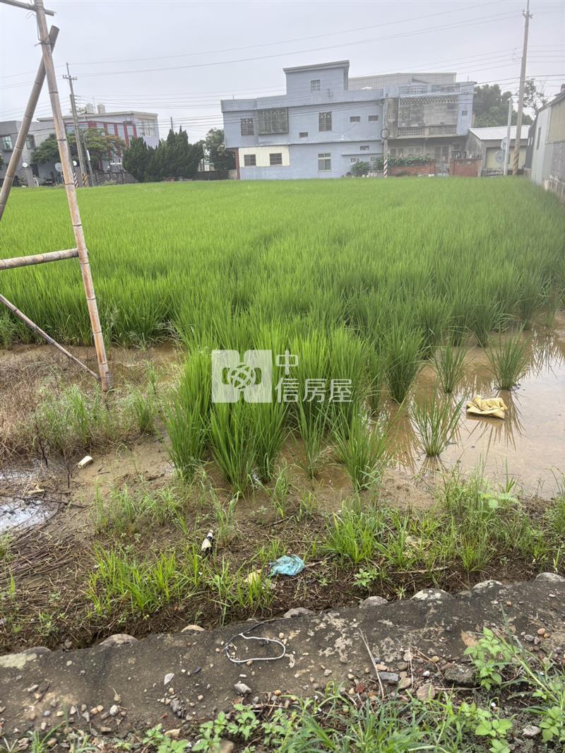 10米路旁大面寬有電農保田房屋室內格局與周邊環境