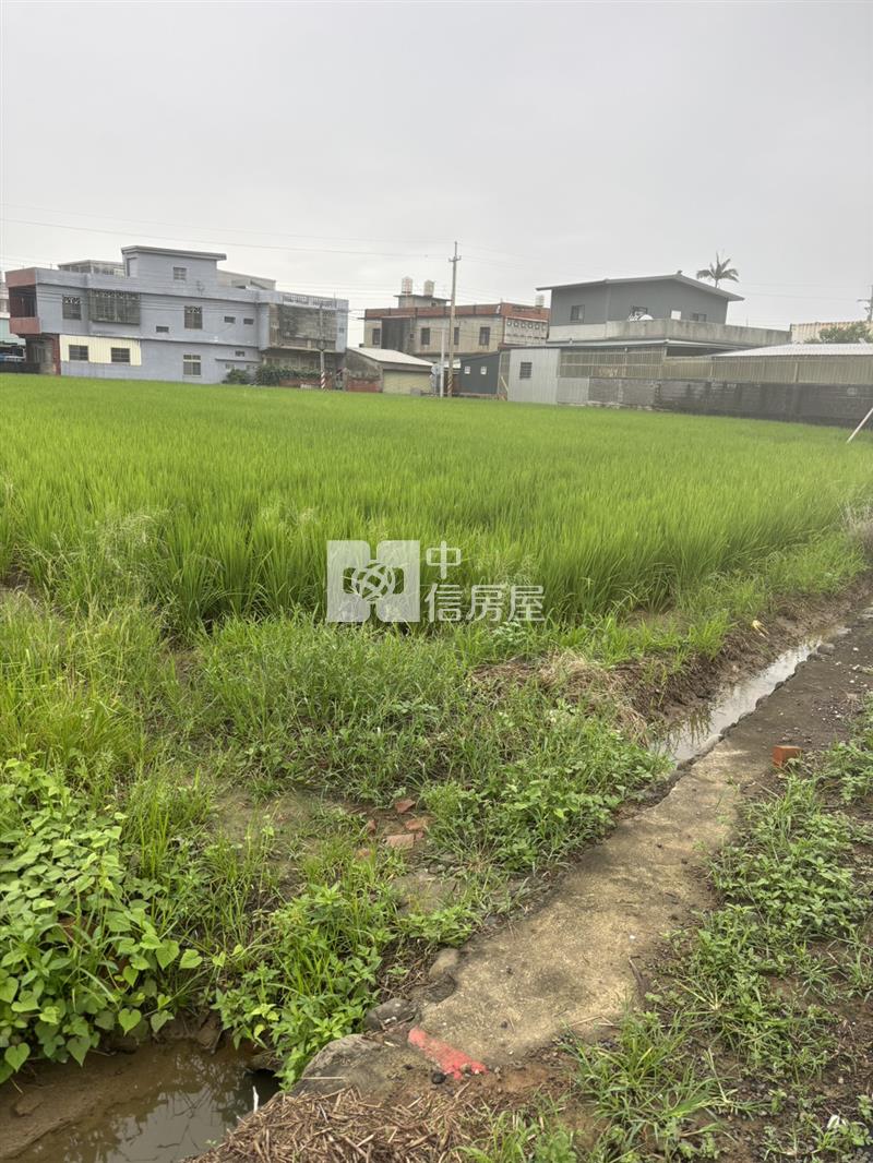 10米路旁大面寬有電農保田房屋室內格局與周邊環境