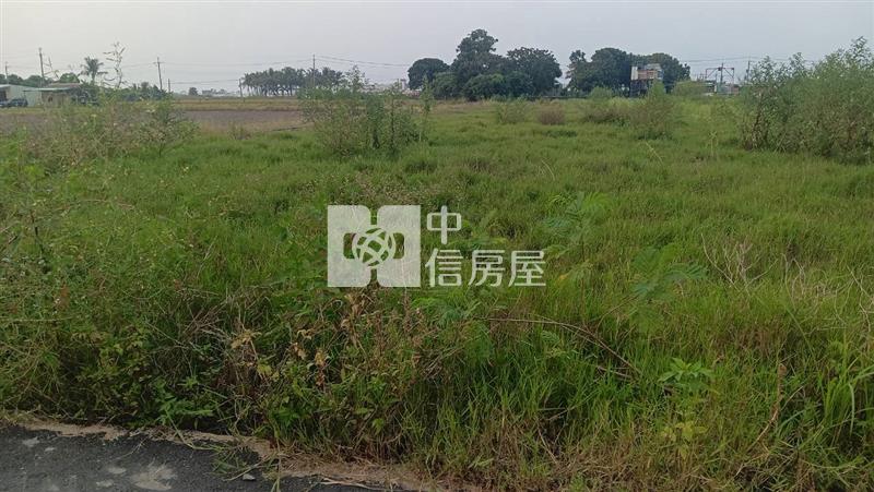 仁德近長興國小都內農地房屋室內格局與周邊環境