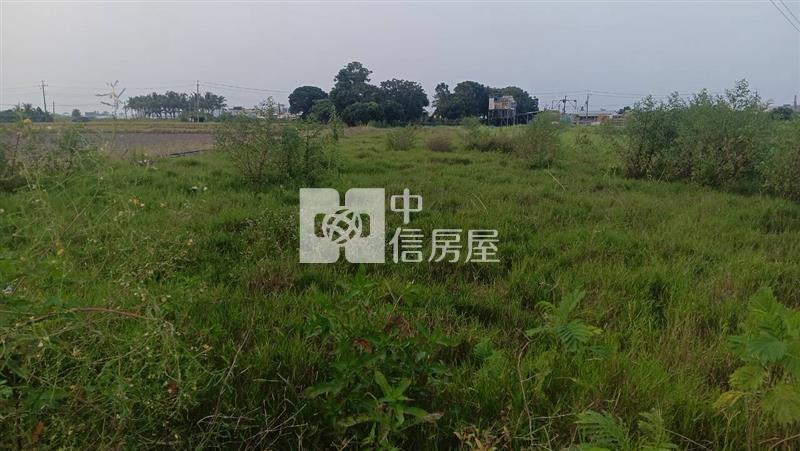 仁德近長興國小都內農地房屋室內格局與周邊環境