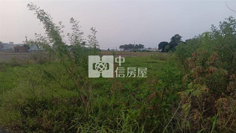 仁德近長興國小都內農地房屋室內格局與周邊環境