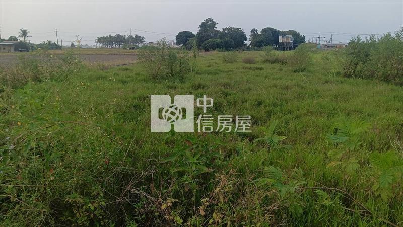 仁德近長興國小都內農地房屋室內格局與周邊環境
