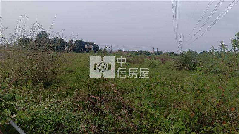 仁德近長興國小都內農地房屋室內格局與周邊環境