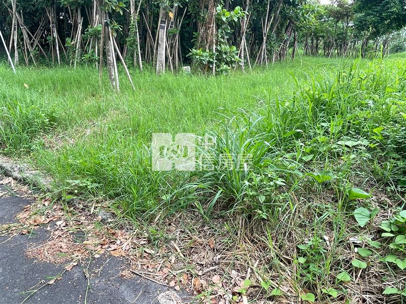 歸仁休閒美農地房屋室內格局與周邊環境