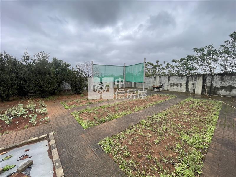 【安家】觀音新坡千坪甲建(角地)