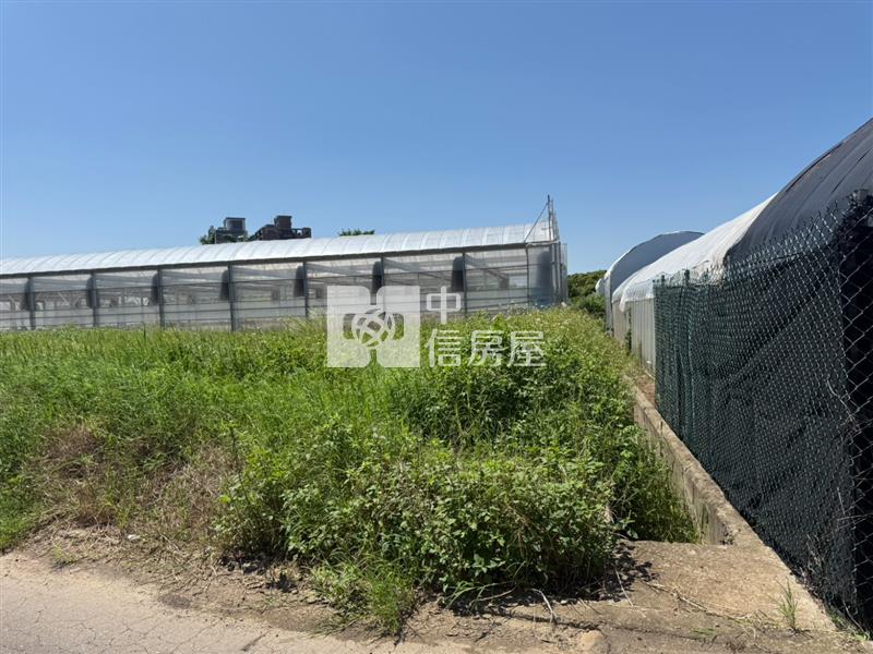 大園區五塊厝段一般農地