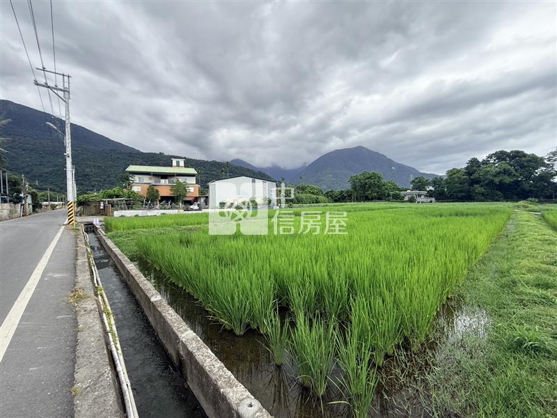 吉安慶豐臨路靜謐農地(C36)