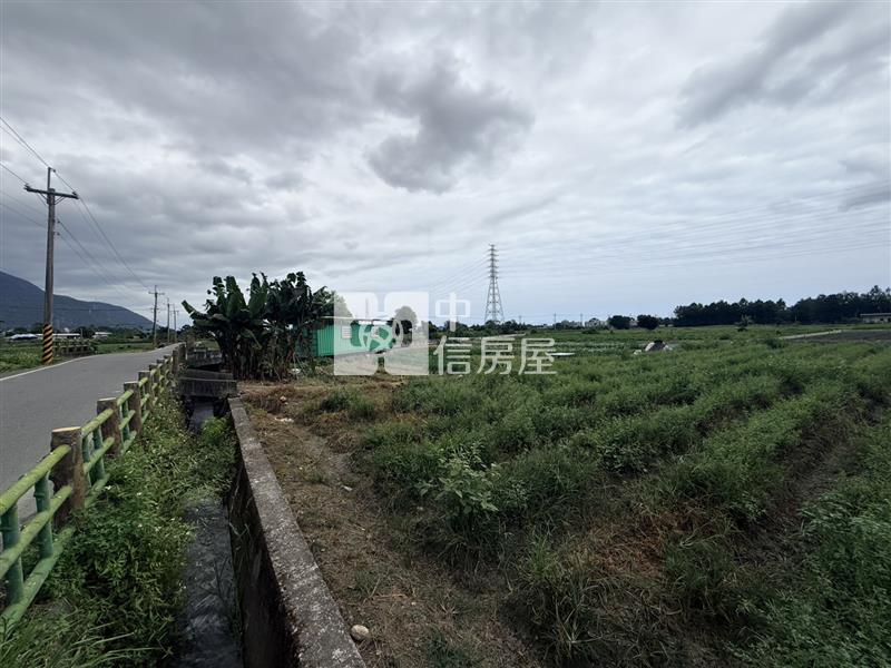 吉安大坪數方正臨路農地(C37)
