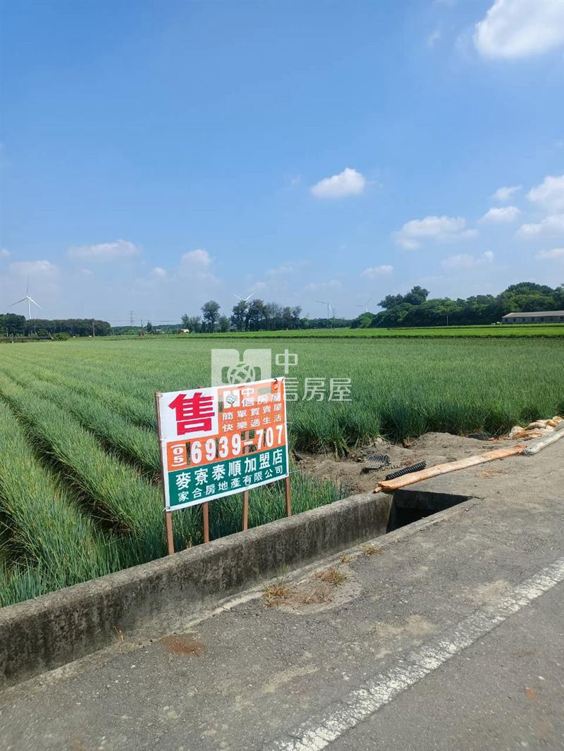 崙背貓兒干美農地
