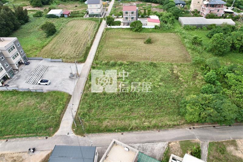 金寧鄉仁愛新村旁農地